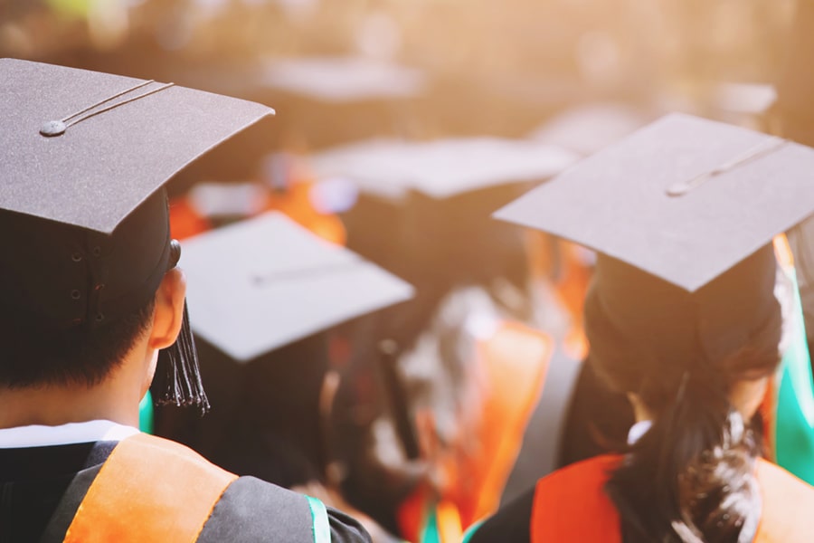Education: Higher Education and school districts