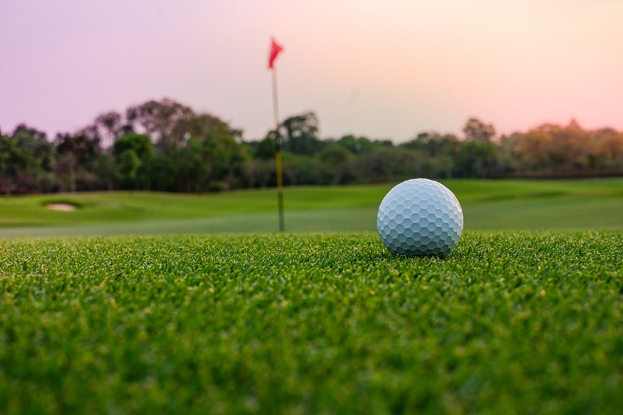 Golf courses and Country Clubs