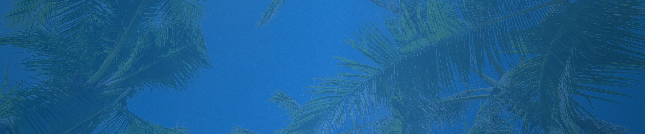 The Seahawks have had 222 Scholar Athletes during program history. Women's Soccer leads the way with 34.