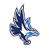 Seahawks Badge